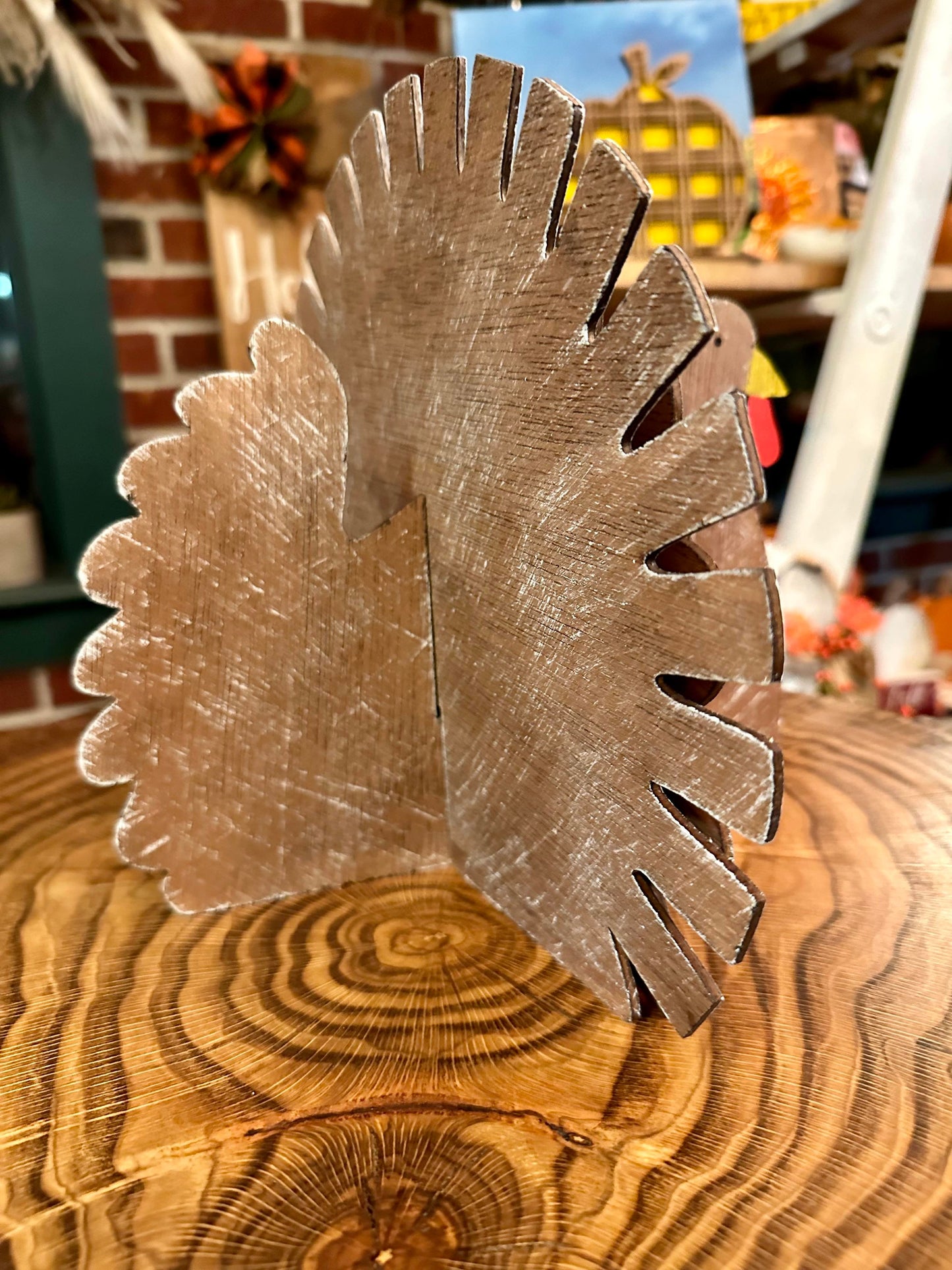 3D Turkey