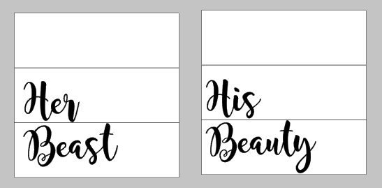 Duo - His Beauty Her Beast