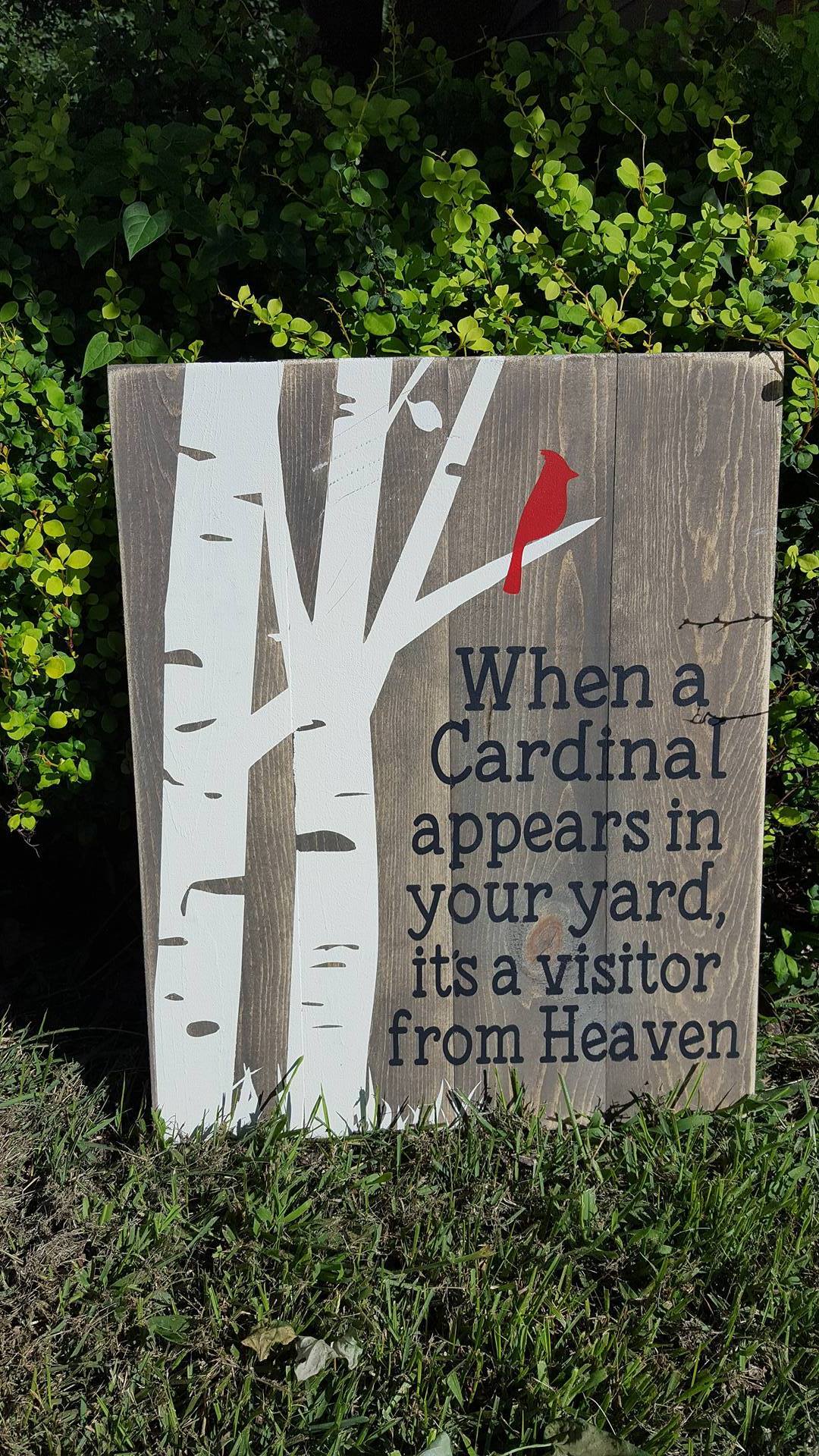 When a cardinal visits your yard vertical