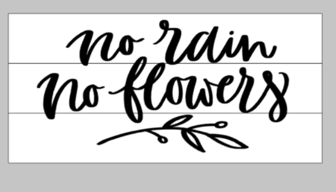 no rain no flowers