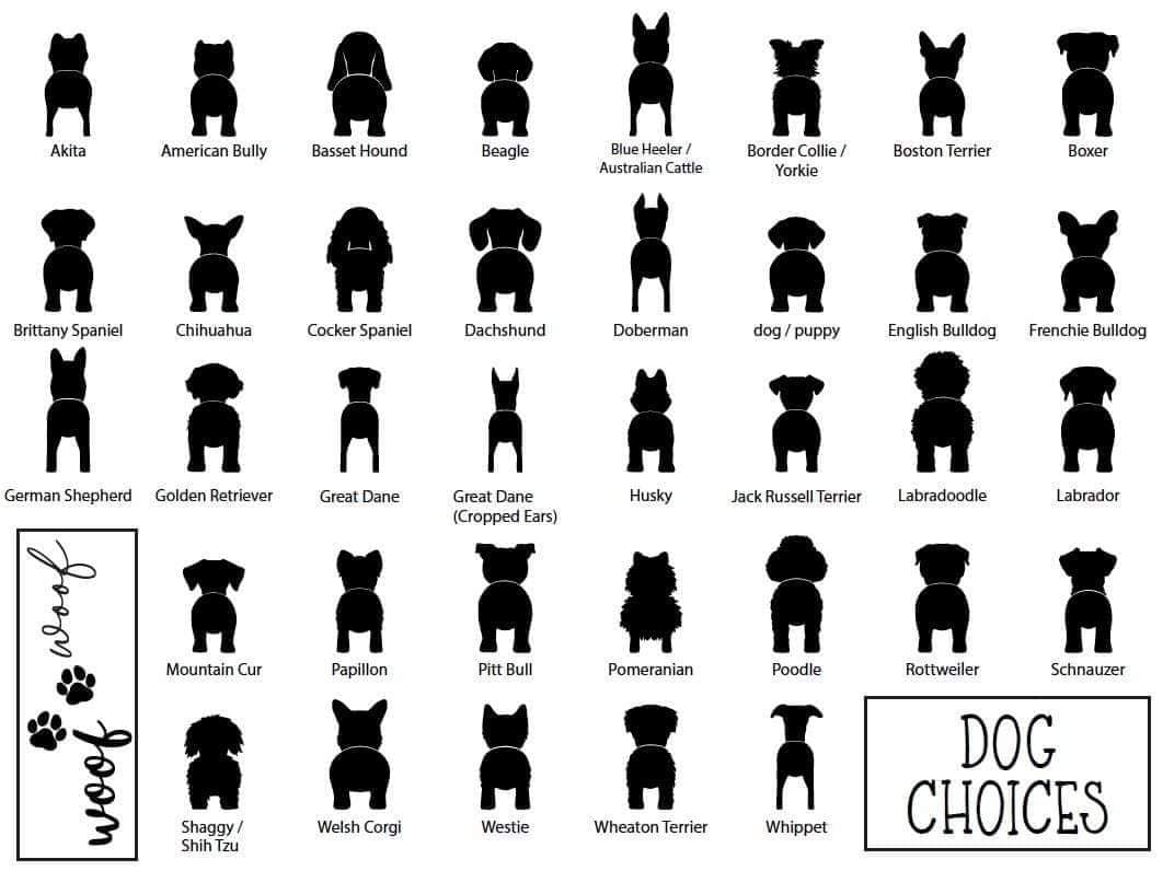 3D Dog Leash Hanger Customizable Dog with Woof or Name